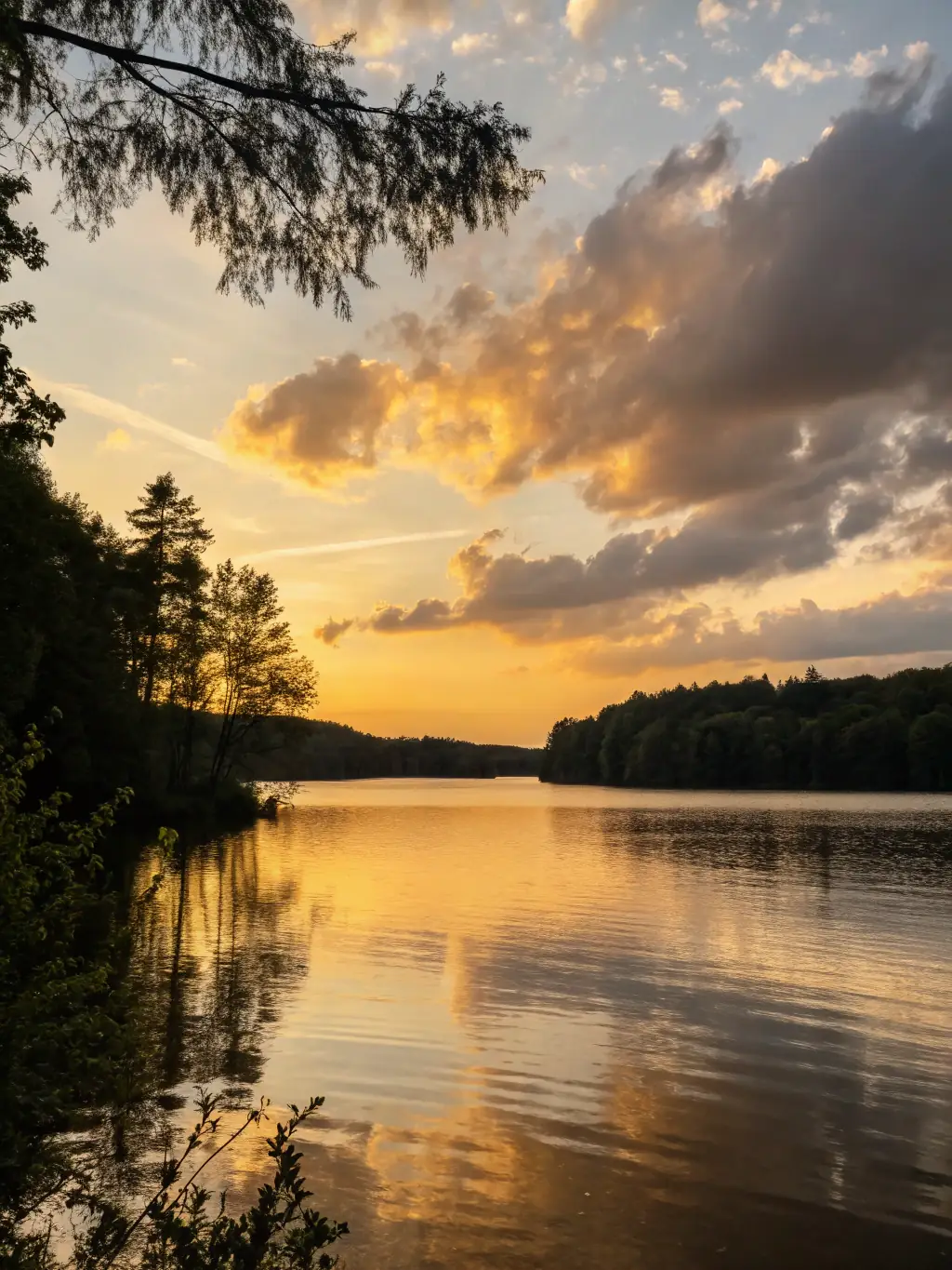 A serene landscape image with subtle planetary lines overlaid, representing the influence of Venus on love and relationships in a specific location. The scene should evoke feelings of harmony and connection.